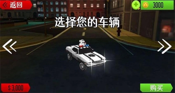 城市警车巡逻模拟图3