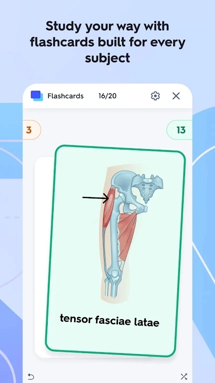 Quizlet英语免费  最新版