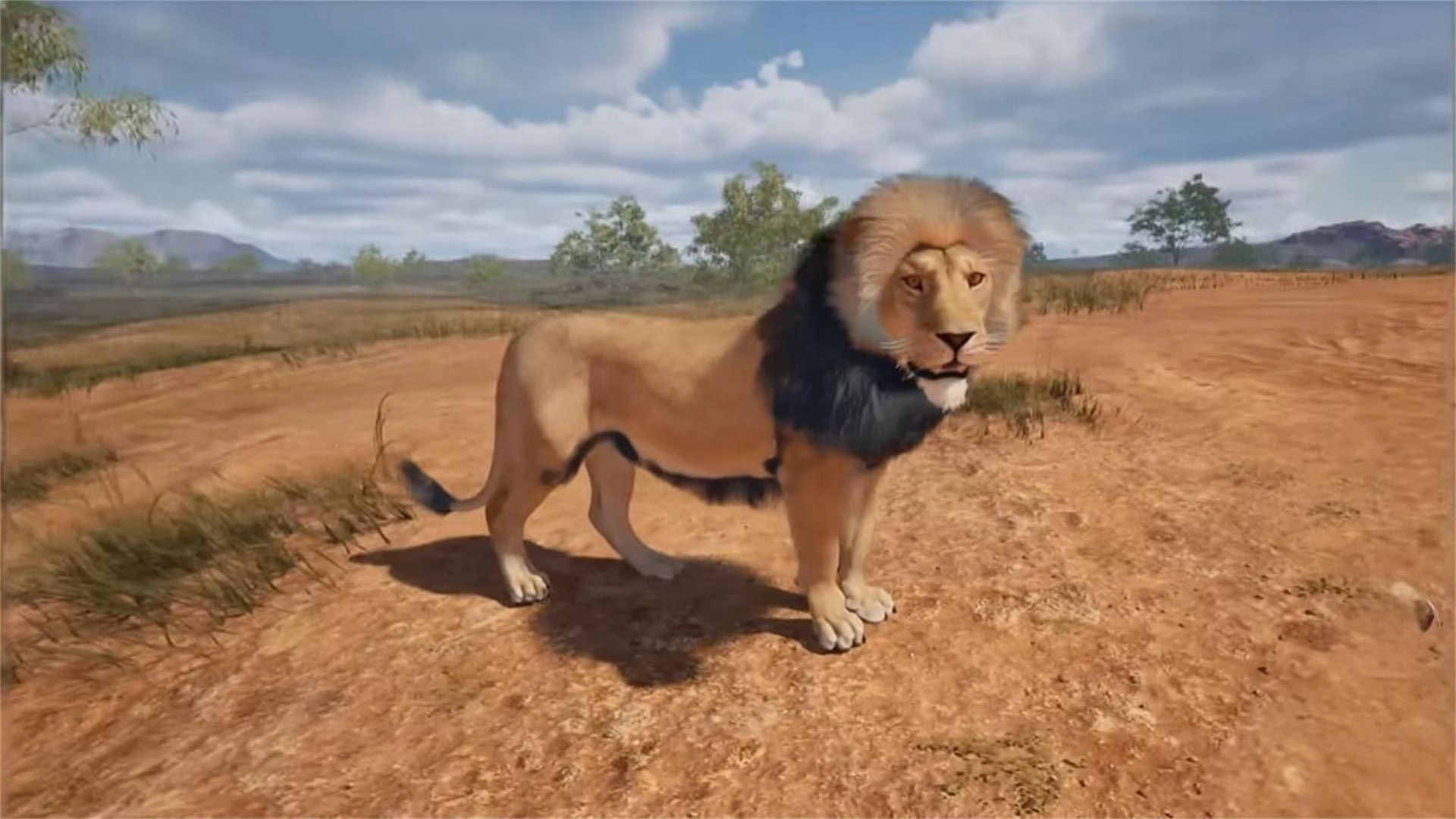 模拟狮子捕猎战场2