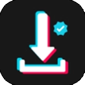 AhaTik Downloader安卓版