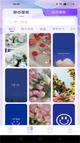 元汽动态壁纸图3