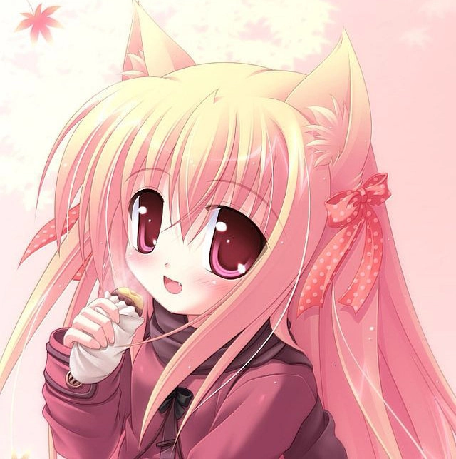 奇妙漫画安卓版