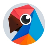 有道翻译官电脑版