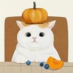 收纳物语最新版