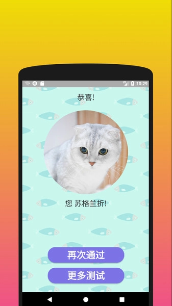 你是什么样的猫图3