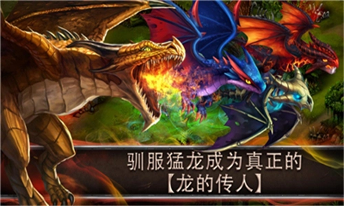 驯龙传说截图2