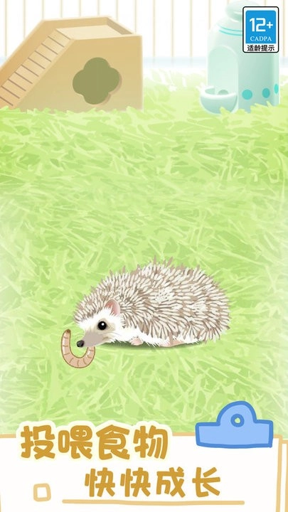 小小宠物截图2