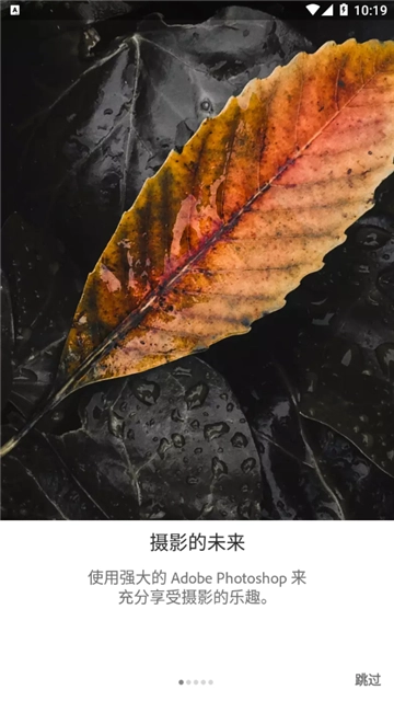 Lightroom正版图4