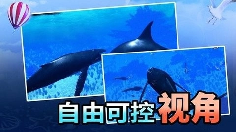 海洋动物世界手机版图1