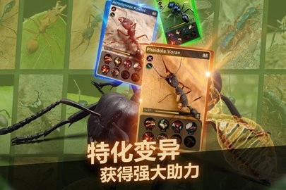 小小蚁国最新版3