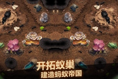 小小蚁国最新版1