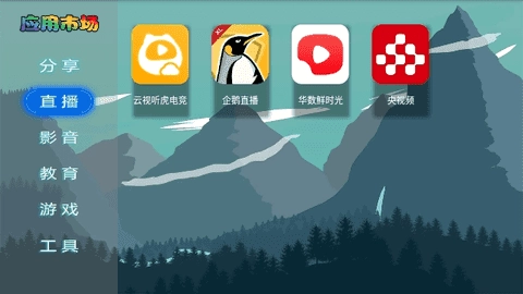 VIP市场电视版图1