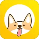 每日计划安排表