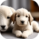 小羊和小狗 V1.0