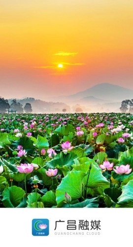 廣昌融媒截圖3