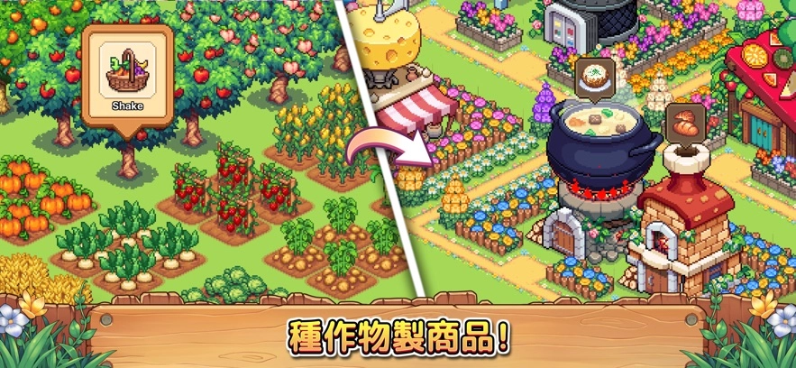 Viladia精灵村的时光图2