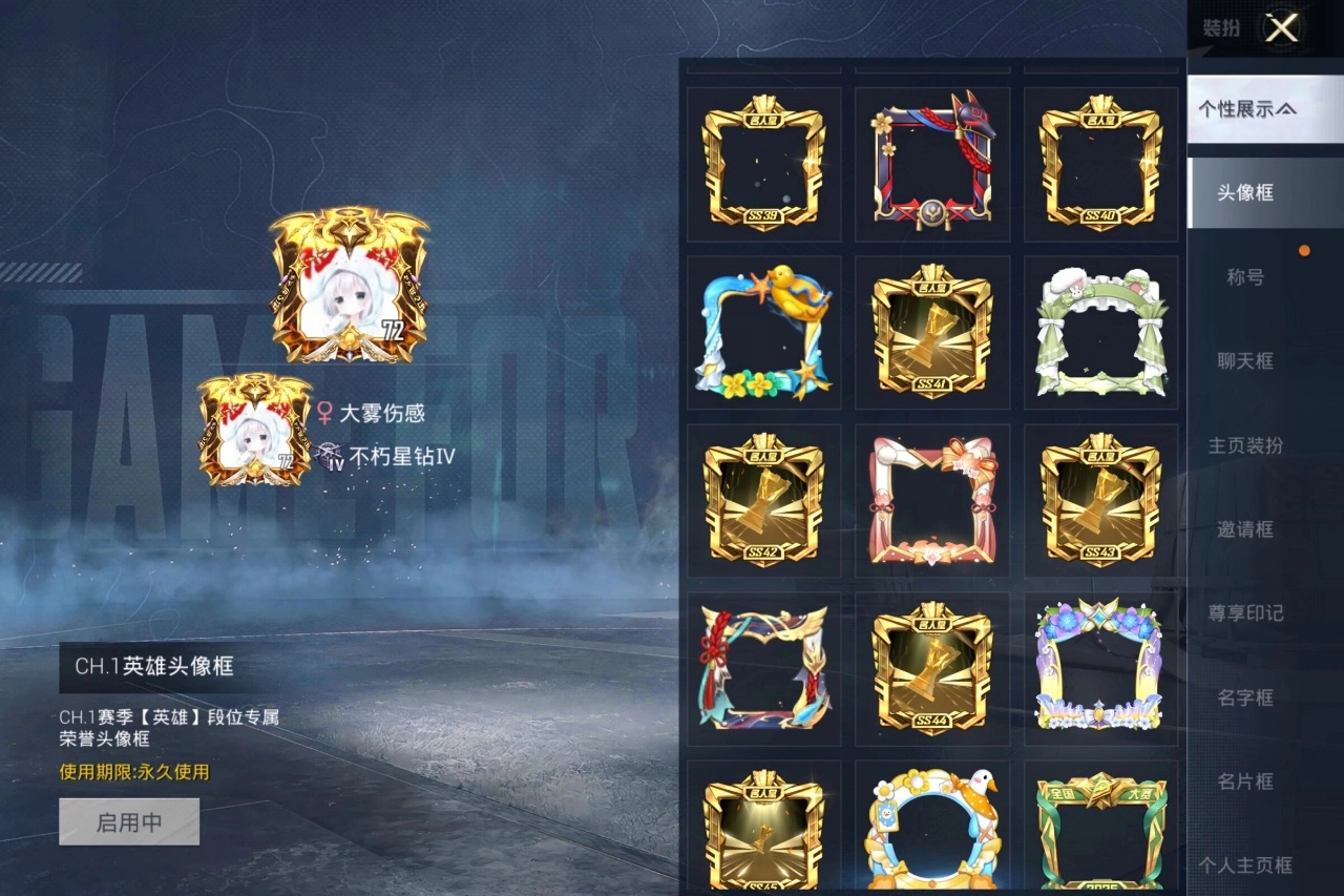 大雾美化包至尊版图5