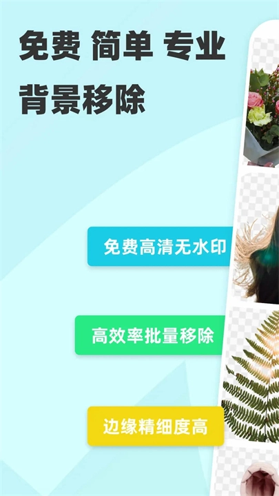 椰子背景移除工具1