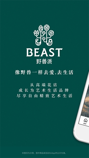 野兽派鲜花图1