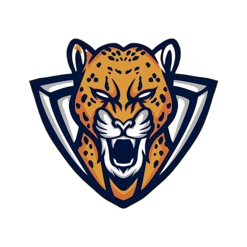 野豹启动器最新版