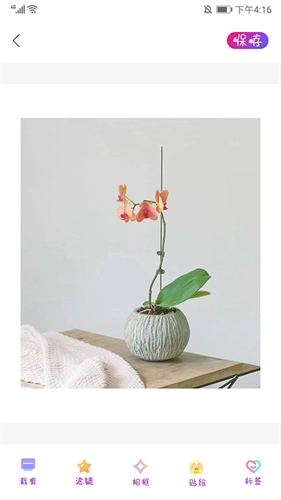 PROMOVIE专业摄像机老版