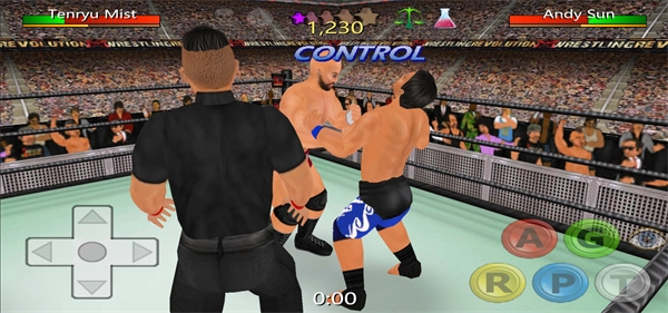摔跤革命3