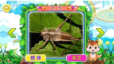 宝宝儿童动物世界图2