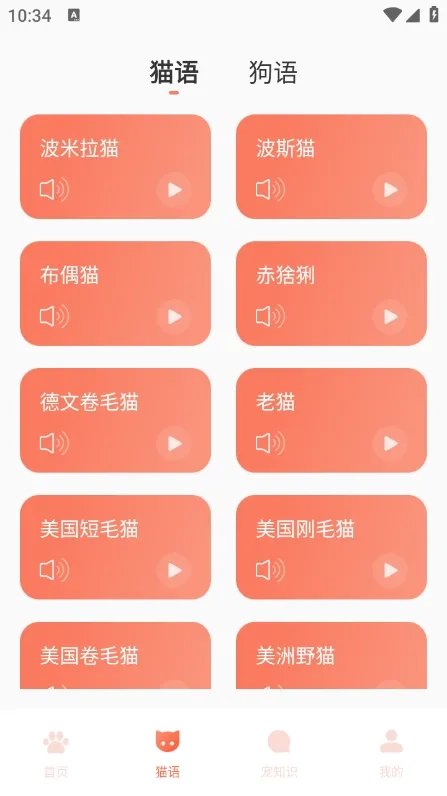 Peppy Cat最新安卓版图2