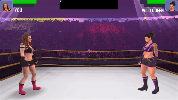 美女摔跤模拟器全人物