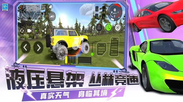 疯狂赛车手3D图1