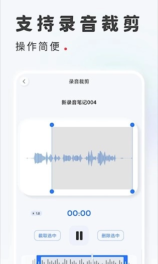 录音转文字最新版图4