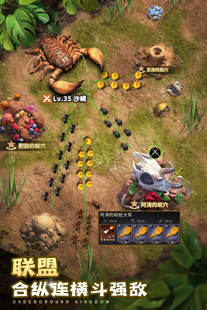 小小蚁国九游客户端  安卓版图4