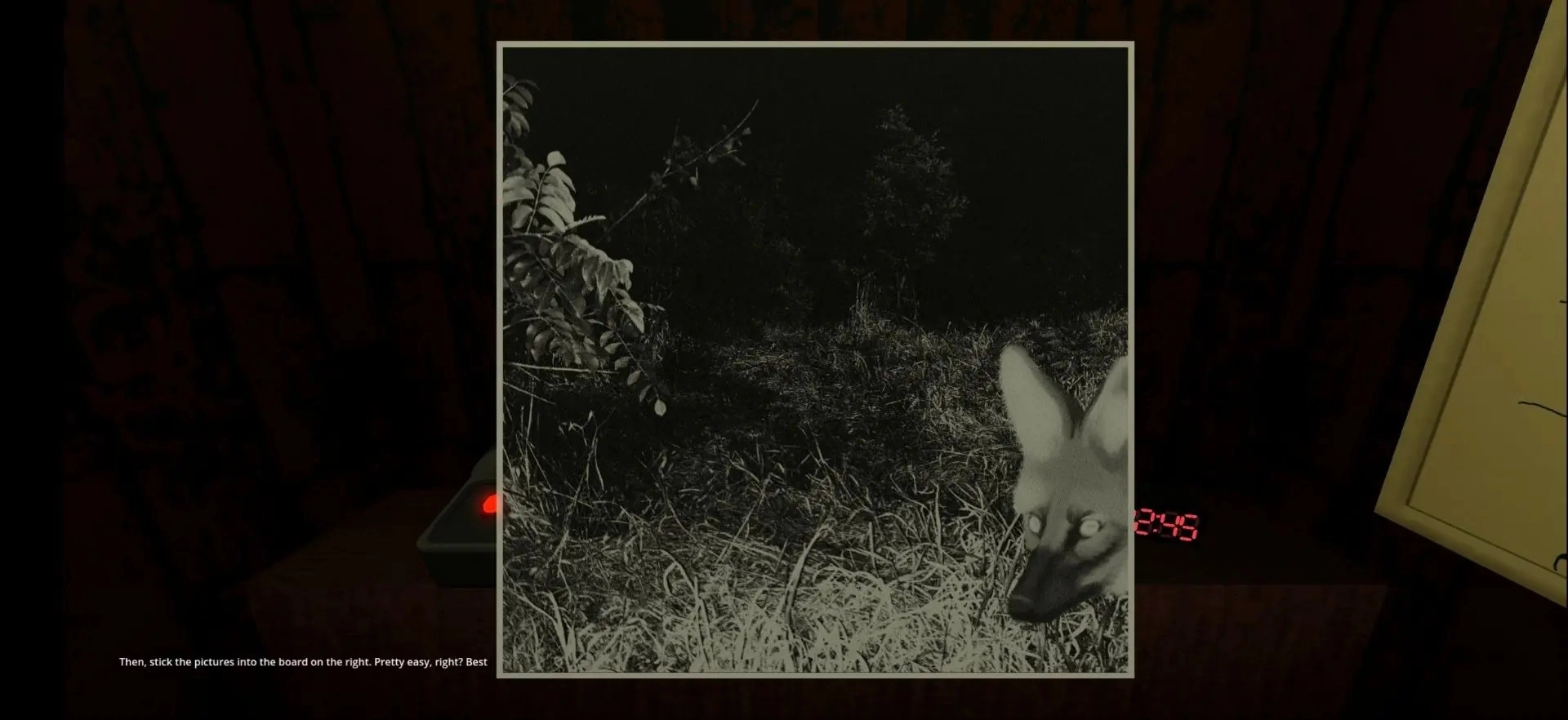 动物观察员游戏图5