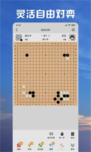 星阵围棋手机版2