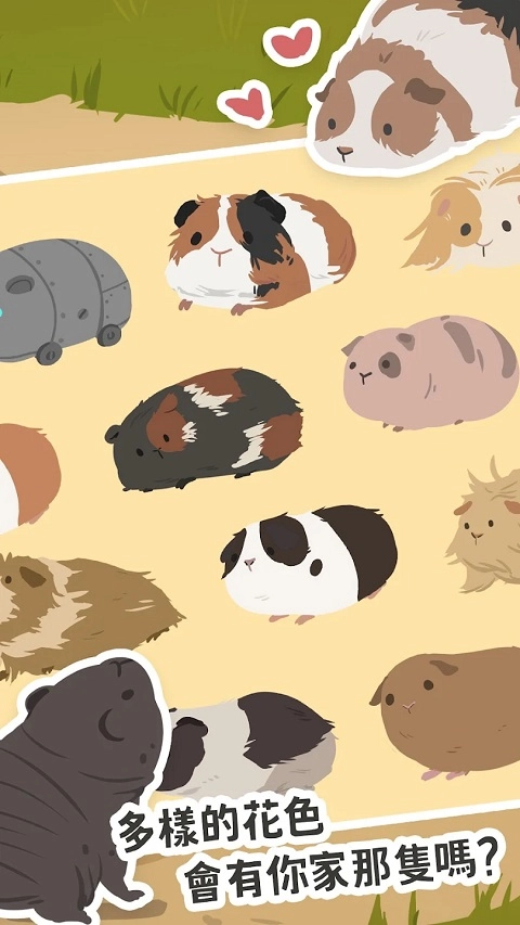 天竺鼠农场正版(2)