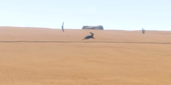 长途旅行2主播同款图3