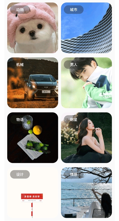 彩虹猫pro免费版图4