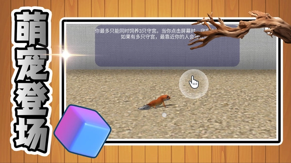 萌宠成长日记截图1