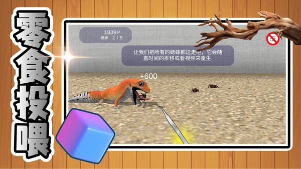 萌宠成长日记截图3