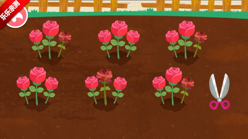 奇妙鲜花房免费安装  最新版6