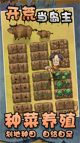 开荒当岛主免广告版图3