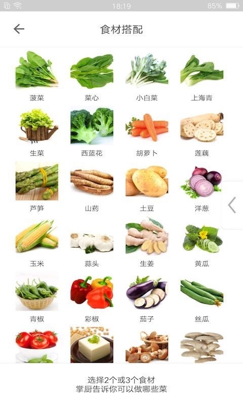 掌厨正式版截图3