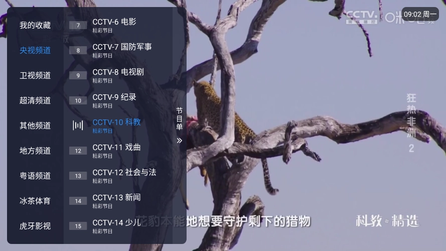 冰红茶TV最新版图1