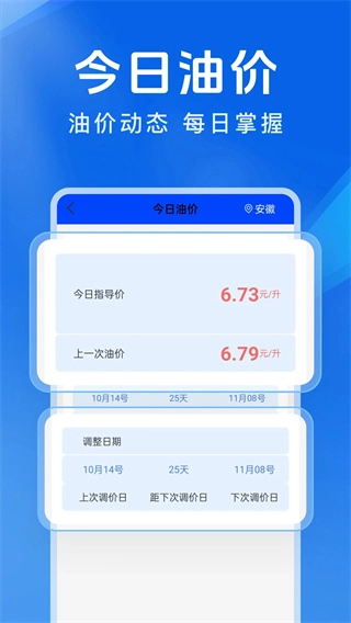 車輛違章代碼快查-截圖1