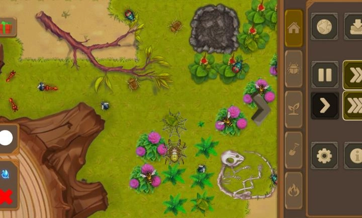 昆虫沙盒(BugBox)(1)