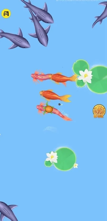 召唤神龙2新年联机版(5)