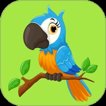 鹦鹉翻译助手安装手机版