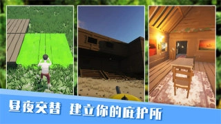 无人岛生存日记汉化版(2)