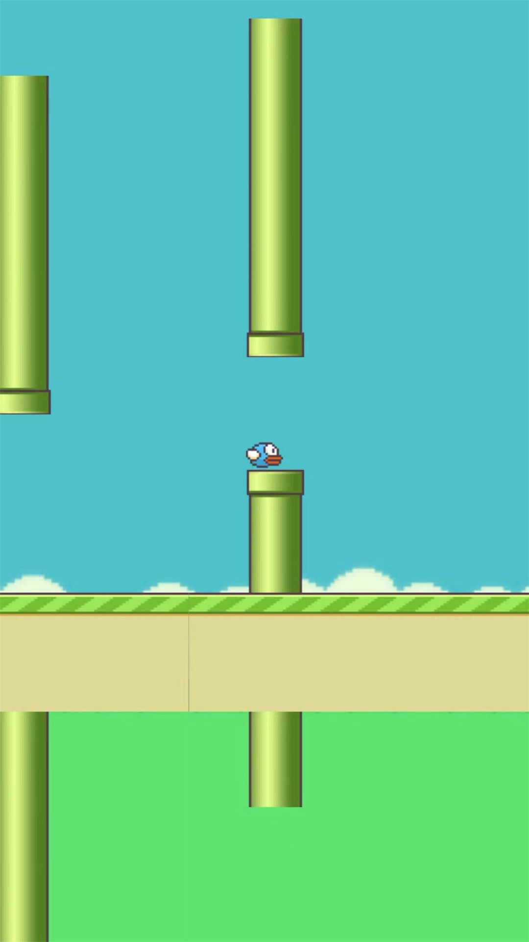 笨鸟努努游戏安装图3