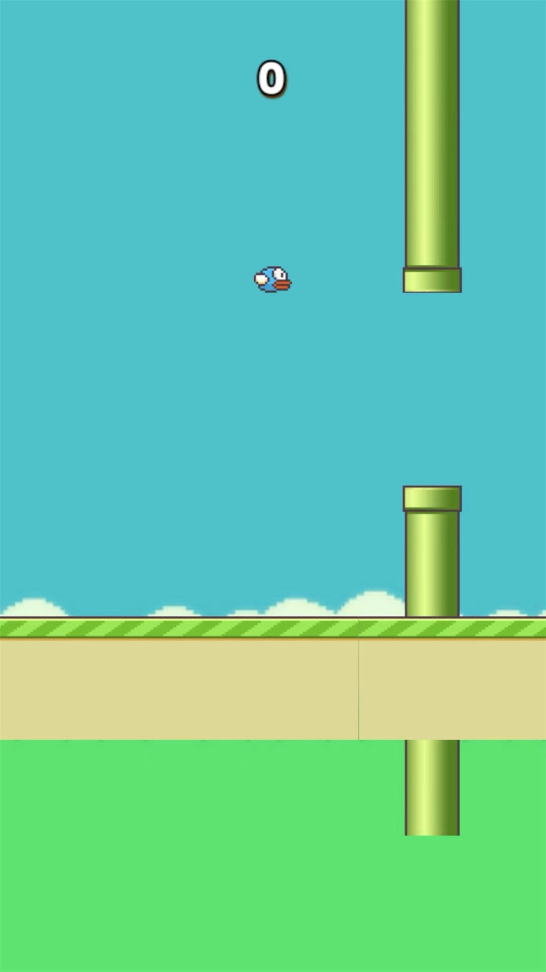 笨鸟努努游戏安装图4